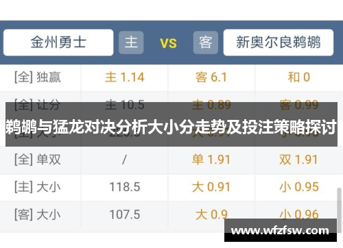 鹈鹕与猛龙对决分析大小分走势及投注策略探讨